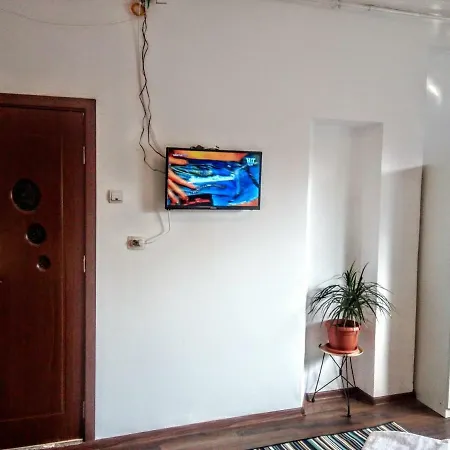 Apartment Bright Modern